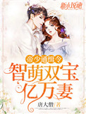 帝少追缉令萌宝亿万妻全文阅读