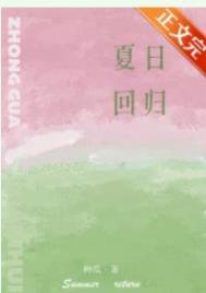 夏日回归八毛小说